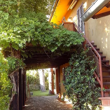 Il Gelsomino Forte dei Marmi