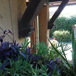 Il Gelsomino 别墅 马尔米堡