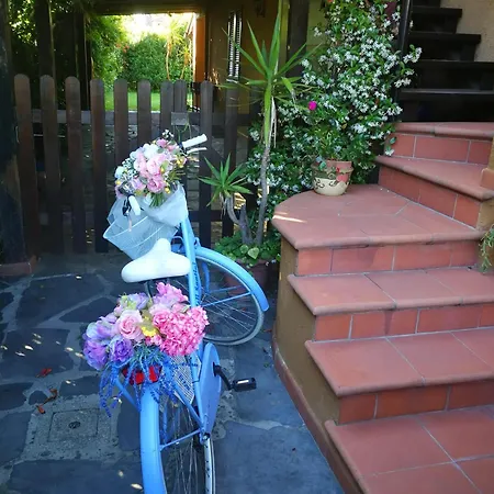 Villa Il Gelsomino Forte dei Marmi