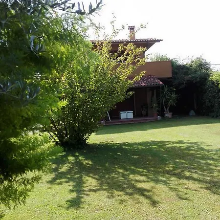 فيلة Il Gelsomino