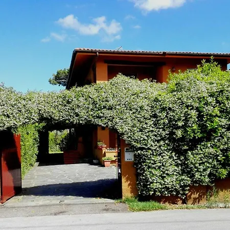 Il Gelsomino Forte dei Marmi