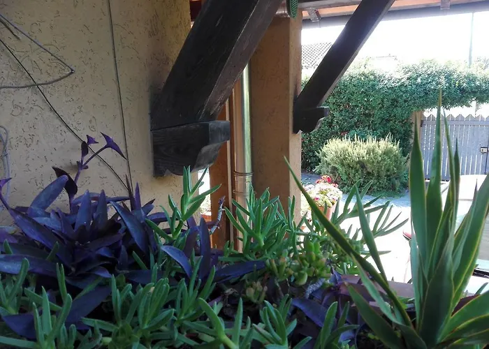 Il Gelsomino Villa Forte dei Marmi